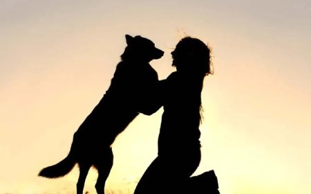 12.000 Yıl Önce İnsan ve Köpek Arasındaki Arkadaşlık Başladı