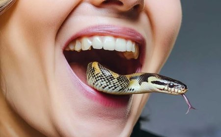 Rüyada Ağzından Yılan Çıkarmak: Bilinçaltındaki Korkular ve İçsel Dönüşüm!