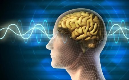 İnsan Beyni Elektrik Üretebilir! Düşünceleriniz Küçük Bir Ampulü Aydınlatabilir