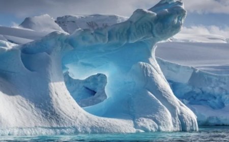 Antarktika Çöllerden Daha Kurudur! En Soğuk Kıta Aynı Zamanda En Kurak Bölge