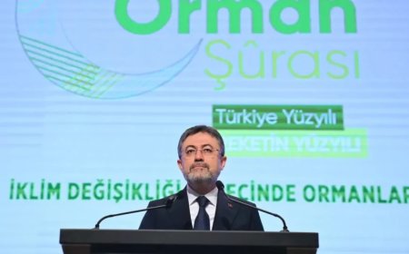 Orman Yangınlarıyla Mücadele İçin 8 Bin 500 Kişiye Yeni İş İmkanı