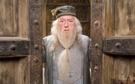 Harry Potter Dizisinde Dumbledore’u Canlandıracak İsim Ortaya Çıktı