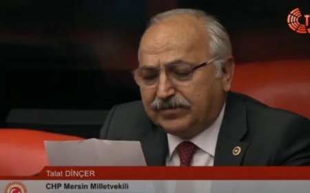 CHP’li Talat Dinçer: 'Mersin’de don afeti üreticiyi bitme noktasına getirdi, acil destek sağlanmalı'