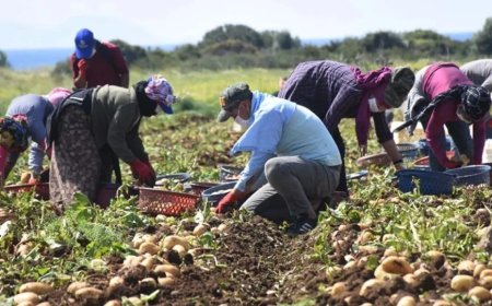 Tarımda Türkiye Yüzyılı Zirvesi başladı: Gıda güvenliği ve yerli üretim gündemde
