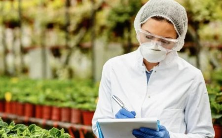 Tarım ve Orman Bakanlığı sahte gıdalara savaş açtı: İşte yeni taklit ve tağşiş listesi!