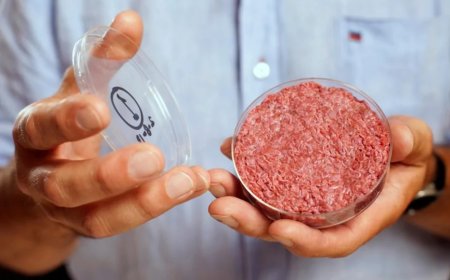 Yapay Et ve Alternatif Proteinler: Geleceğin Mutfağına Yön Veren Teknolojiler