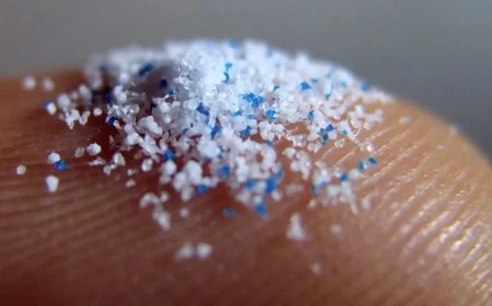 Denizlerde Mikroplastik Tehlikesi Büyüyor: Ekosistem ve Balıkçılık Risk Altında