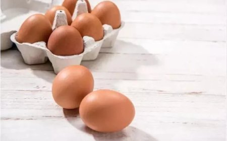 Yumurta Tüketimi Alzheimer Riskini Azaltabilir, İşte Bilimsel Açıklamalar