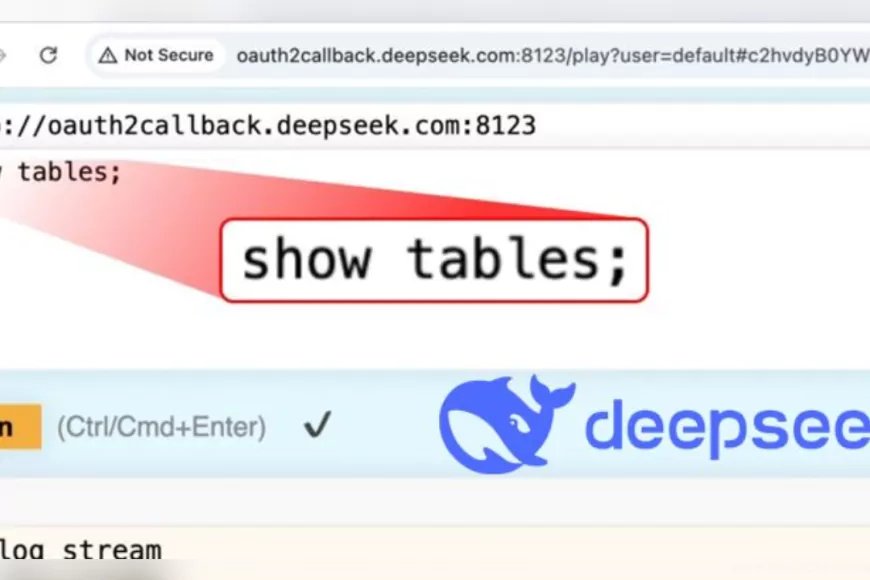 Wiz Cybersecurity Firm: 'Authentication Flaw Found in DeepSeek Databases'