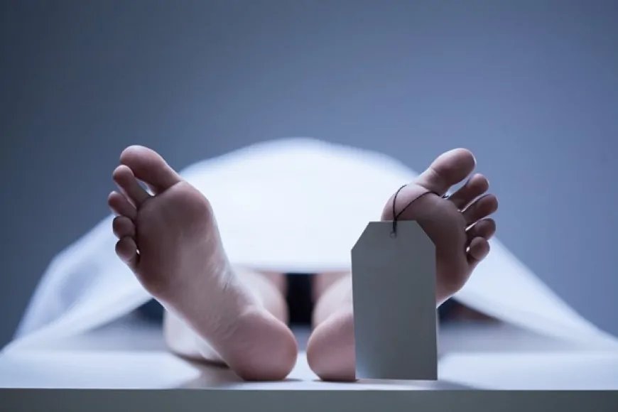 Donating your body to science — What happens to your body after death?