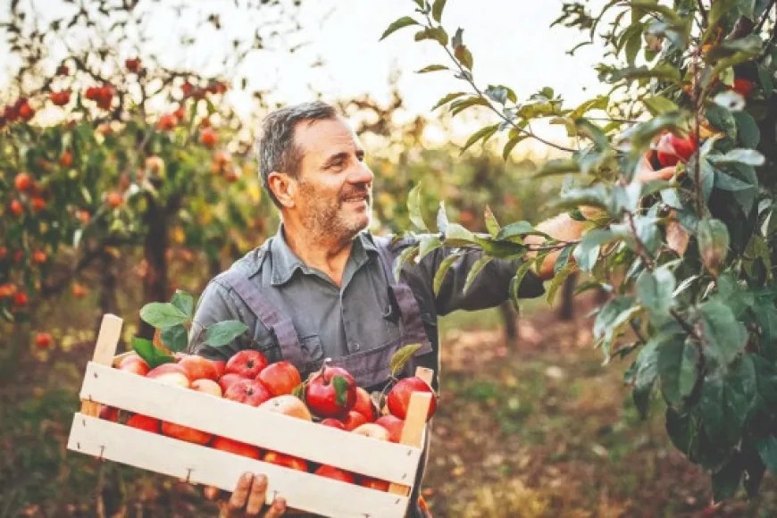 Global food crisis boosts interest in modern agricultural technologies