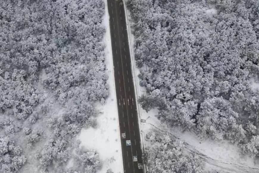 İstanbul'da Kar Yağışı Etkili Oldu, Aydos Ormanı Beyaza Büründü!