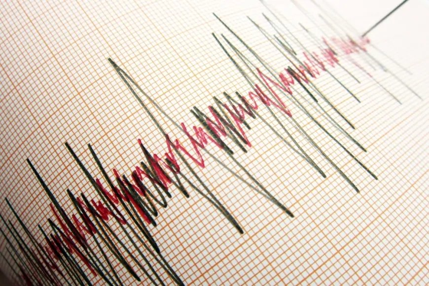 Deprem Riski Az Olan Trabzon Sallandı: 3.3 Büyüklüğünde Deprem Şaşkınlık Yarattı
