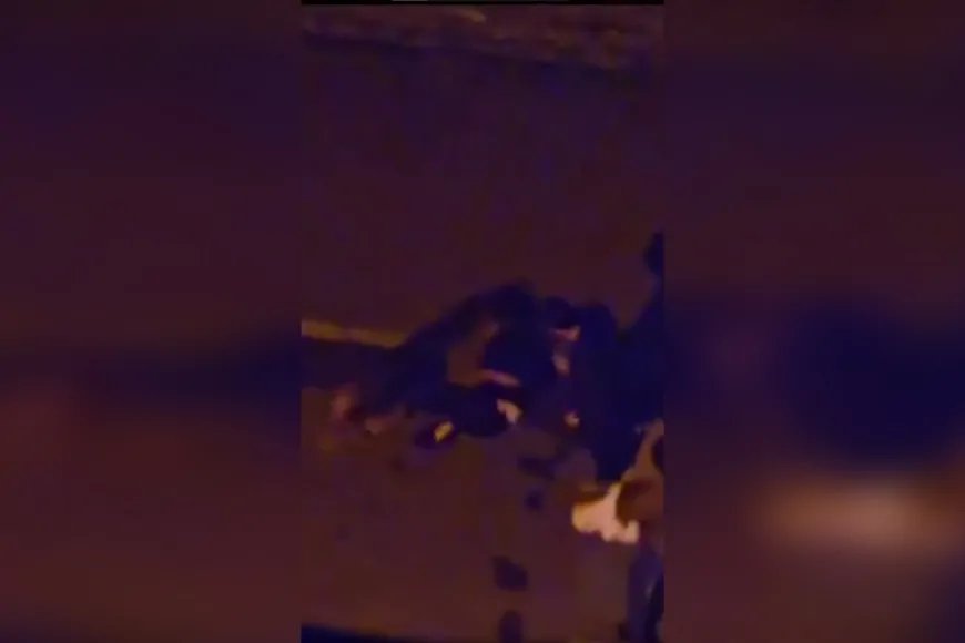 Giresun’da sokak köpeği saldırısı: Kadın boğazından ağır yaralandı