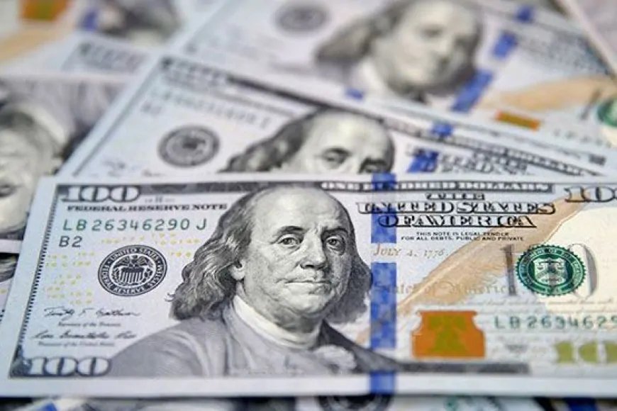 Prof. Abdullah T.Antepli: 'FETÖ Milyarlarca Doları Yurt Dışına Çıkardı'