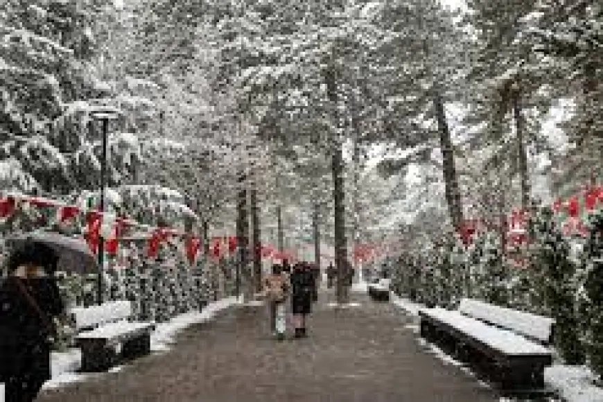 Sinop’ta karla karışık yağmur ve yağışlar bekleniyor