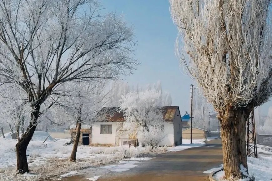 Ağrı’da dondurucu soğuk ve kar yağışı etkili olacak