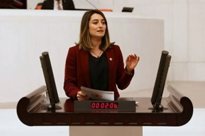 CHP’li Aysu Bankoğlu: 'Mustafa Kemal’in askerlerini ihraç ederek cumhuriyet değerlerini hedef alıyorsunuz'