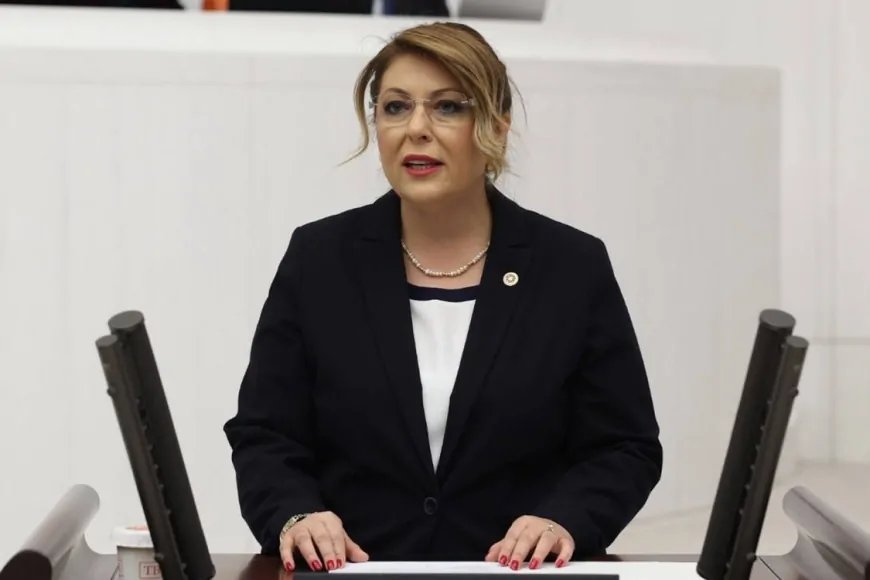 CHP Giresun Milletvekili Elvan Işık Gezmiş: 'Giresun’da Aileler Küçülüyor, Gençler Göç Ediyor'