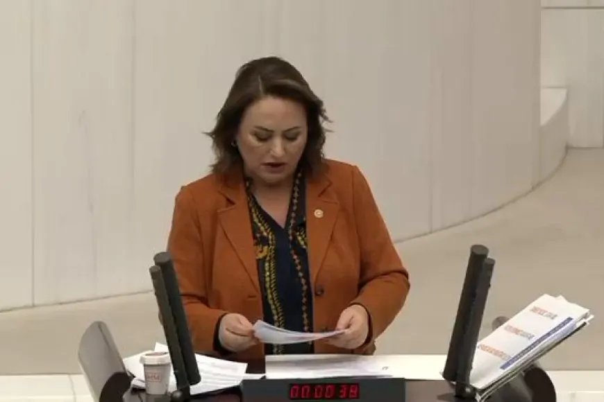 CHP Adana Milletvekili Müzeyyen Şevkin: 'İliç Maden Faciası, Denetimsizliğin ve Aşırı Üretimin Bedelidir'