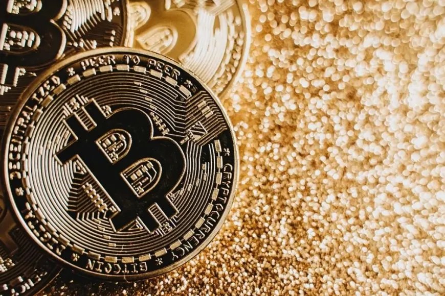 Kripto Suçlarında 2024 Rekoru: Dolandırıcılık ve Siber Saldırılar Zirvede