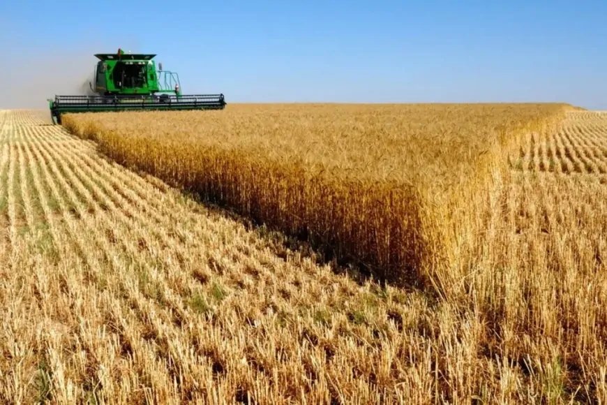 TARIM SEKTÖRÜ İHRACATLA EKONOMİYE 32,6 MİLYAR DOLAR KATKI SAĞLADI