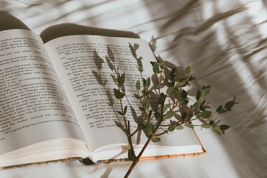 2.000 Yıllık Skandal Kitap Yeniden Gündemde: İngiltere'de En Çok Satanlar Listesinde
