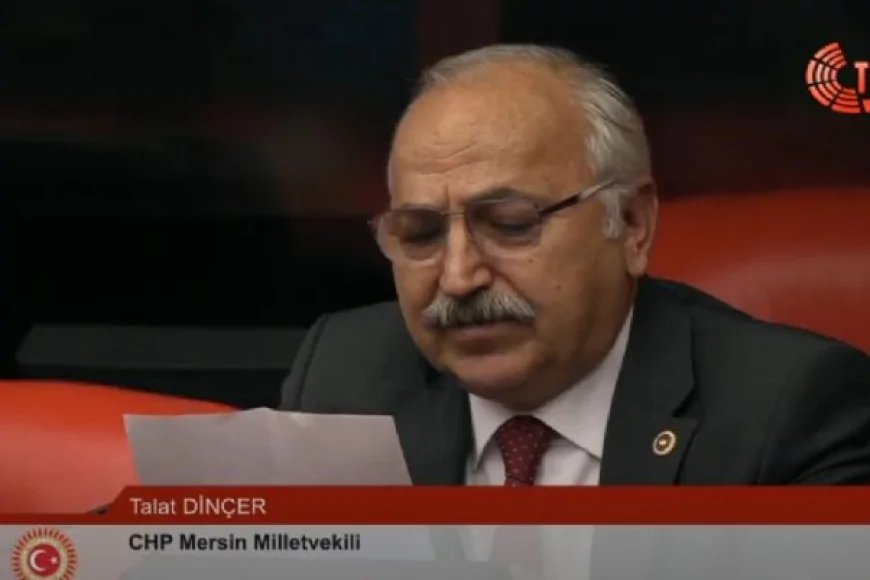 CHP’li Talat Dinçer: 'Mersin’de don afeti üreticiyi bitme noktasına getirdi, acil destek sağlanmalı'