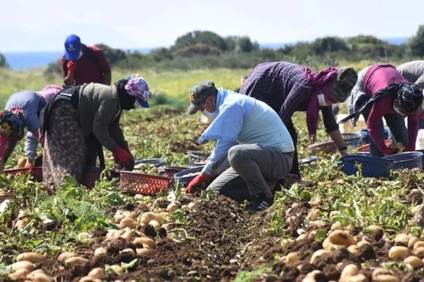 Tarımda Türkiye Yüzyılı Zirvesi başladı: Gıda güvenliği ve yerli üretim gündemde