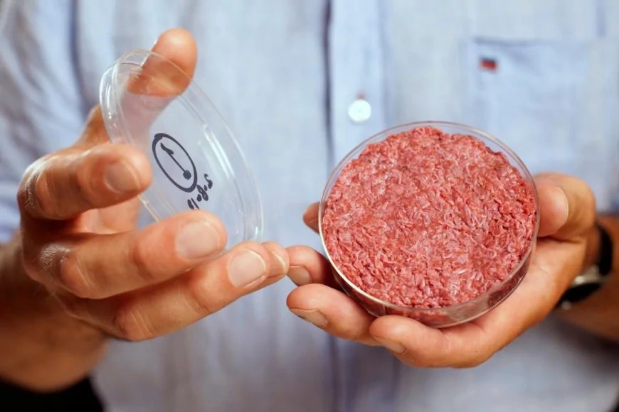 Yapay Et ve Alternatif Proteinler: Geleceğin Mutfağına Yön Veren Teknolojiler