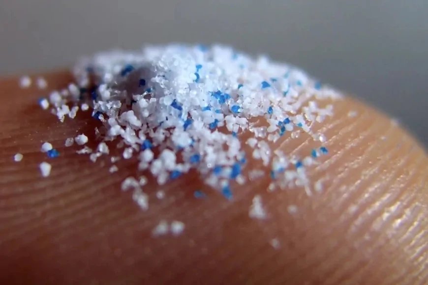 Denizlerde Mikroplastik Tehlikesi Büyüyor: Ekosistem ve Balıkçılık Risk Altında