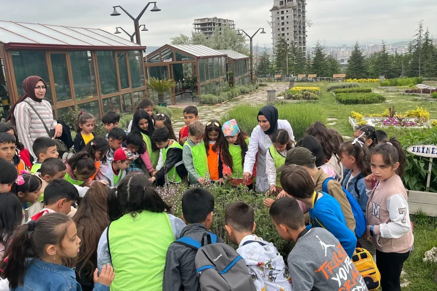 Ankara's Cultural Heritage Meets Students: Endemic Valley Attracts Great Attention