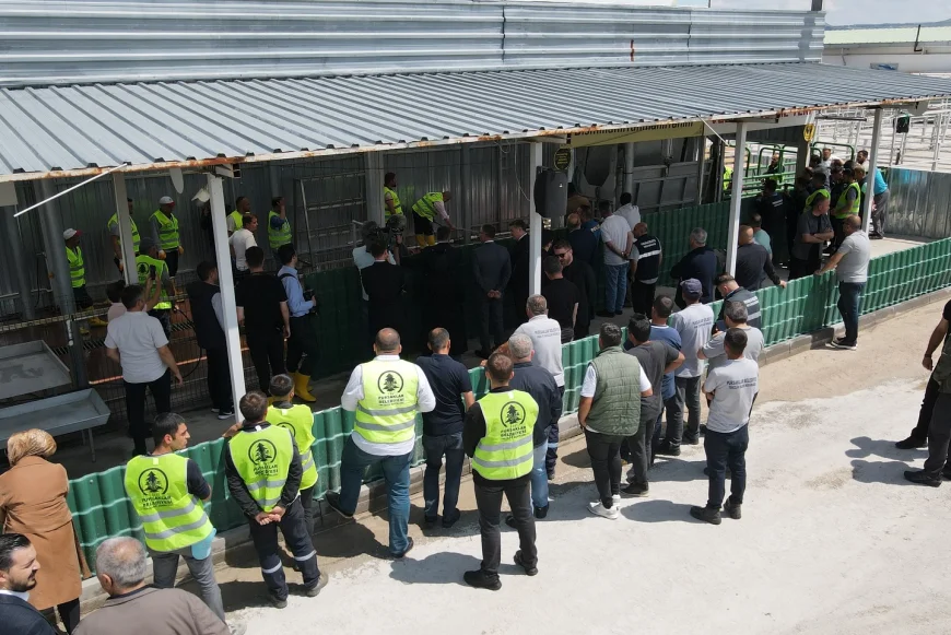 Pursaklar'da Kurban Bayramı Öncesi Prova: Ertuğrul Çetin 'Tüm Tedbirleri Aldık'