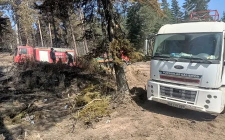 Pursaklar Belediyesi, Çankırı’daki orman yangınlarına müdahale için ekiplerini seferber etti